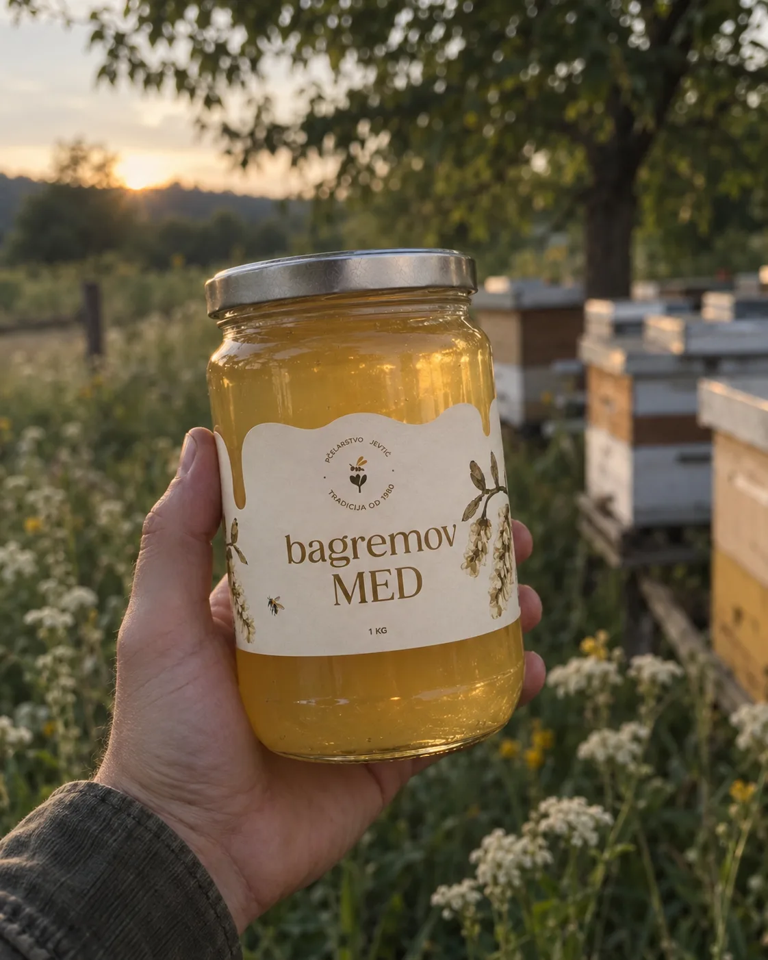 Ruka drži teglu bagremovog meda, iza nje košnice u zalazak sunca