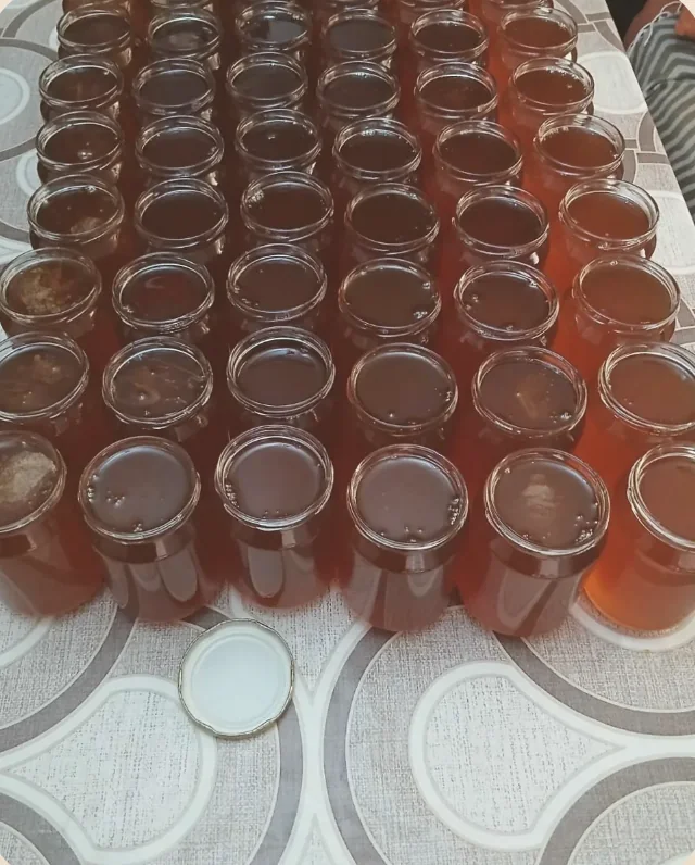Redovi napunjenih tegli na stolu, poslije punjenja